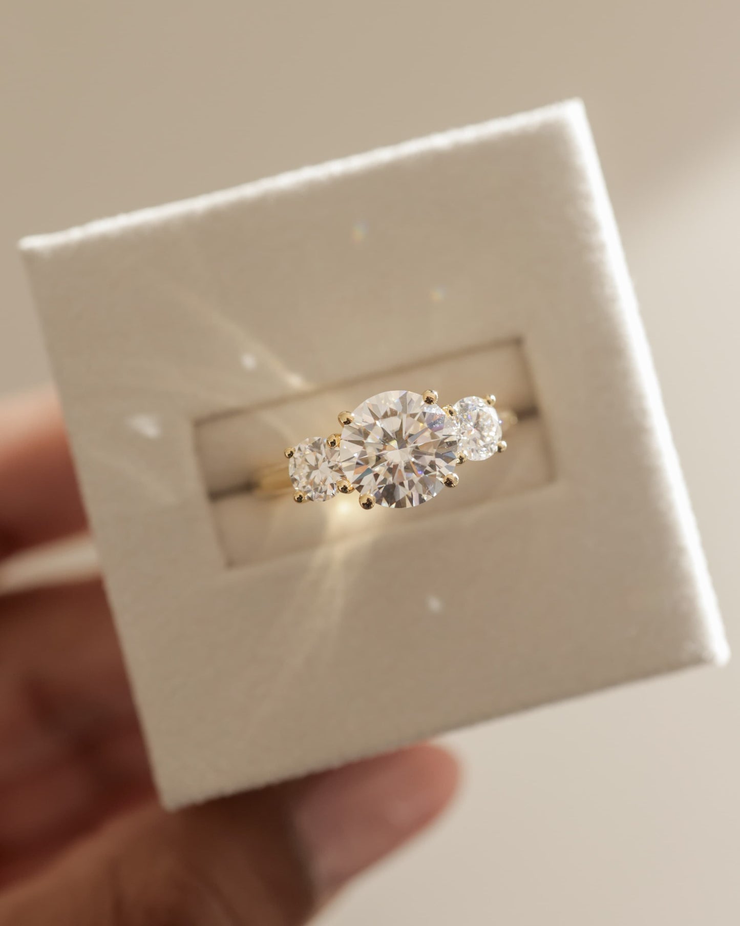 Octavia - Round Claw Trilogy with Round Side Stones and Trellis Gallery Engagement Ring - White Gold