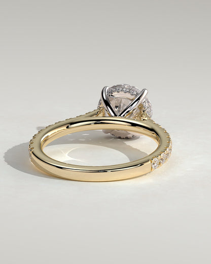Ashlea - Round Claw Solitaire with Hidden Halo, Pave Band and Cathedral High Setting Engagement Ring - Yellow Two-Tone