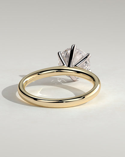 Daniela - Round Claw Solitaire with Solid Cathedral High Setting Engagement Ring - Yellow Two-Tone