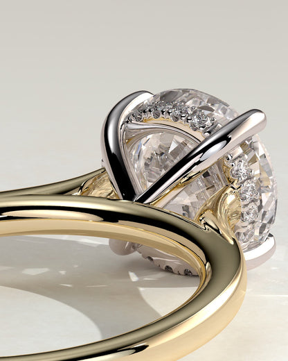 Bonnie - Round Claw Solitaire with Hidden Halo and Cathedral High Setting Engagement Ring - Yellow Two-Tone