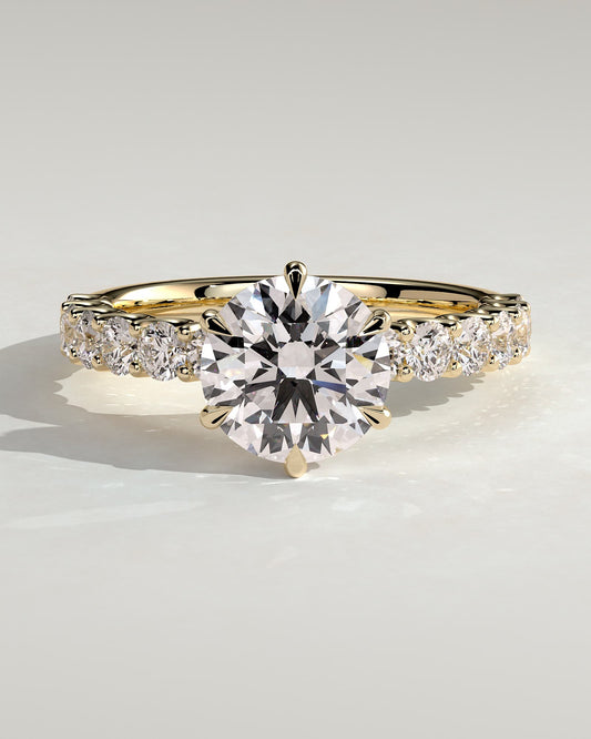 Quinn - Round Claw Solitaire with Half Eternity Band Engagement Ring - Yellow Gold