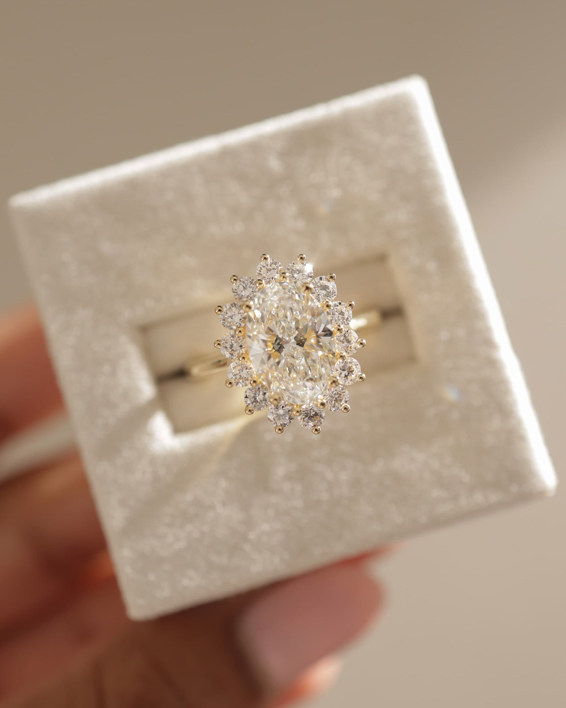 Arielle - Oval Claw Solitaire with Sunburst Halo and Cathedral High Setting Engagement Ring - Yellow Two-Tone - yellow two-tone - Lara Jewels