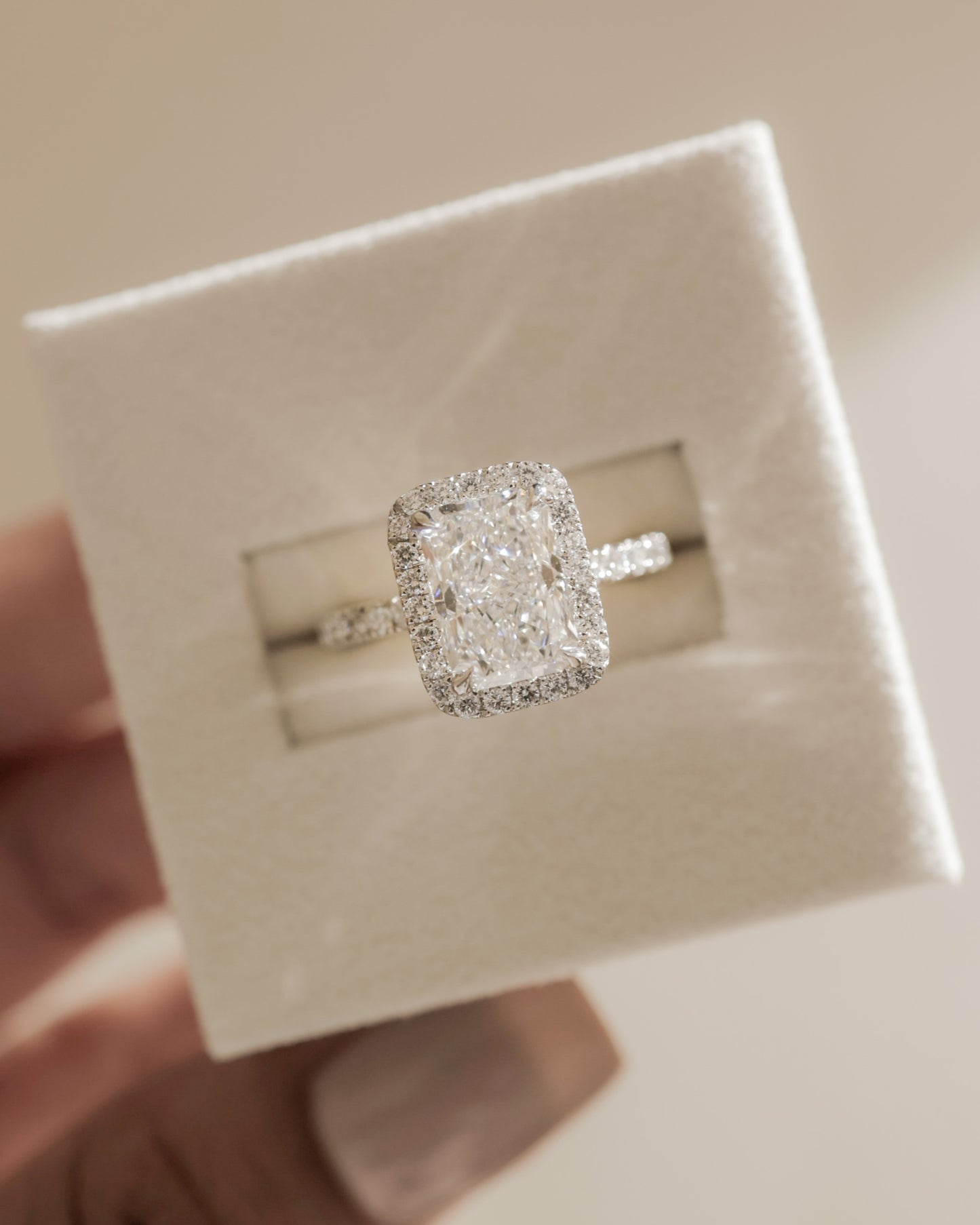 Catherine - Radiant Claw Solitaire with Halo and Pave Band Engagement Ring - Rose Two-Tone - Lifestyle