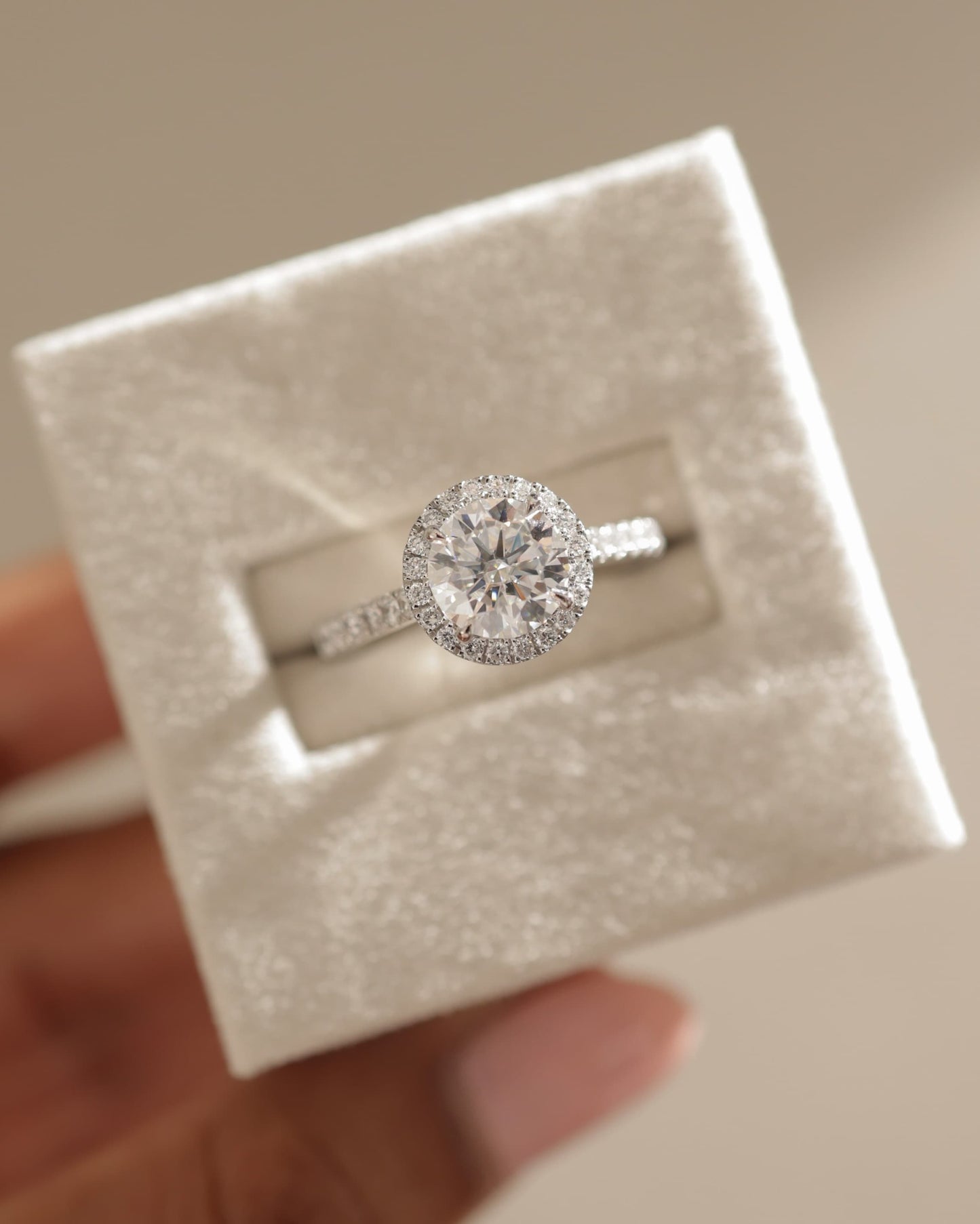 Leah - Round Claw Solitaire with Halo and Pave Band and Cathedral High Setting Engagement Ring - Rose Two-Tone