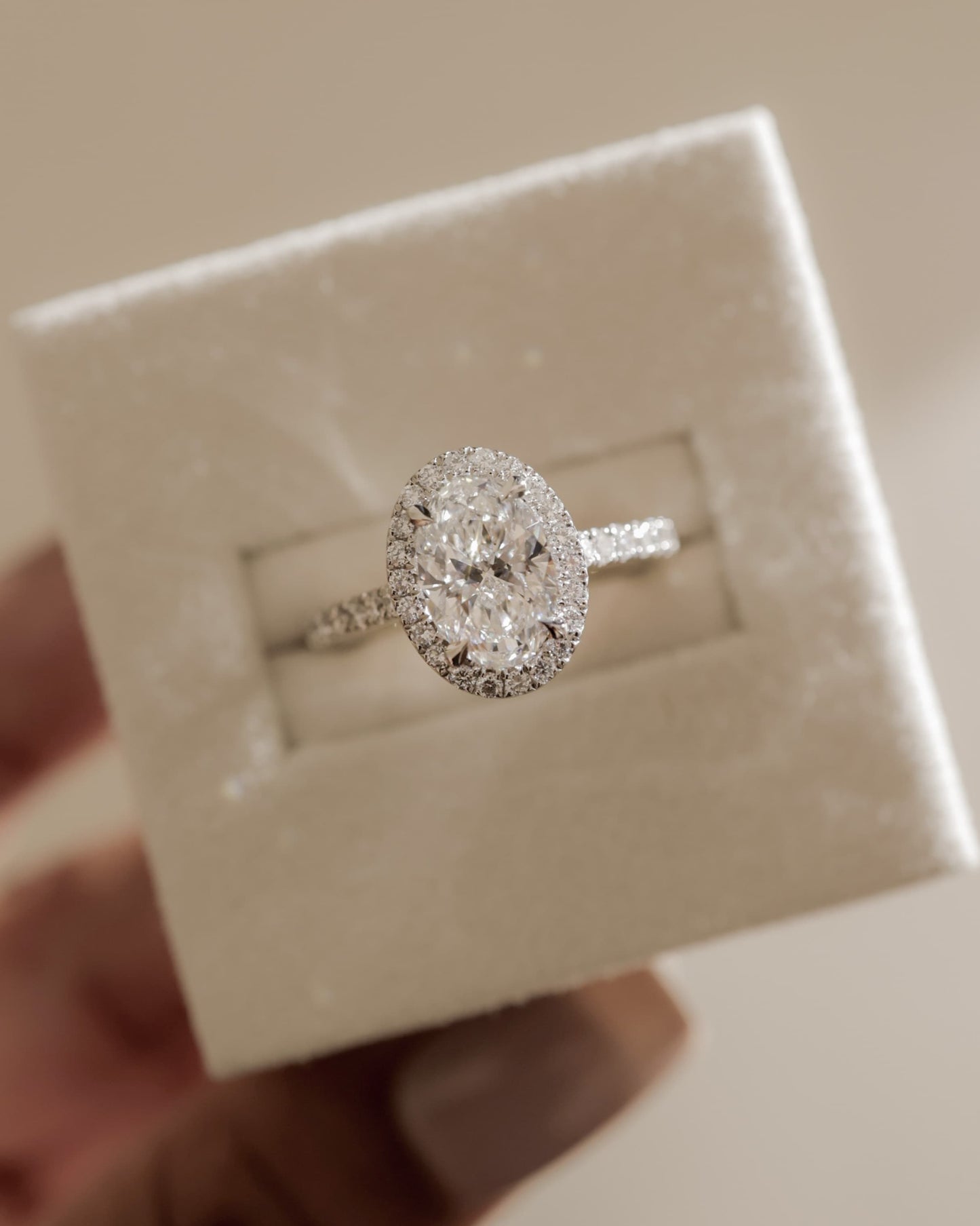 Sally - Oval Claw Solitaire with Halo and Pave Band and Cathedral High Setting Engagement Ring - White Gold