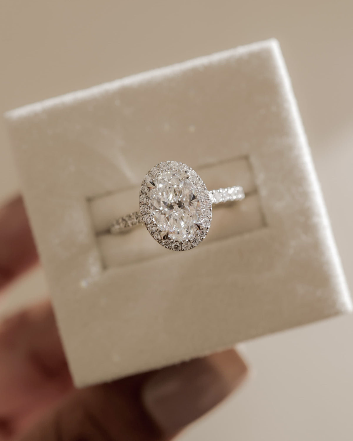 Sally - Oval Claw Solitaire with Halo and Pave Band and Cathedral High Setting Engagement Ring - Yellow Gold