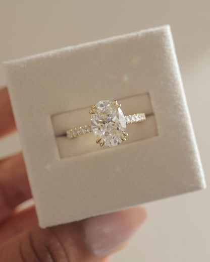 Sasha - Oval Double Claw Solitaire with Hidden Halo, Pave Band and Cathedral High Setting Engagement Ring - Rose Gold