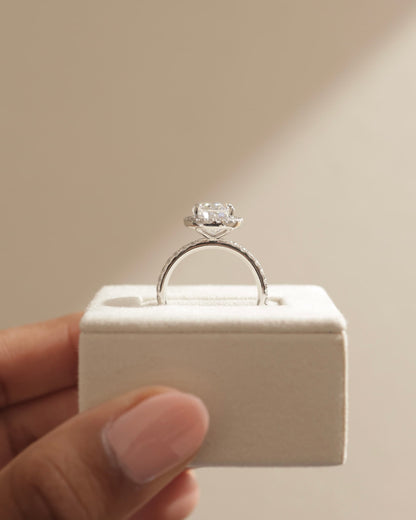 Aurora - Oval Claw Solitaire with Halo and Pave Band Engagement Ring - Platinum