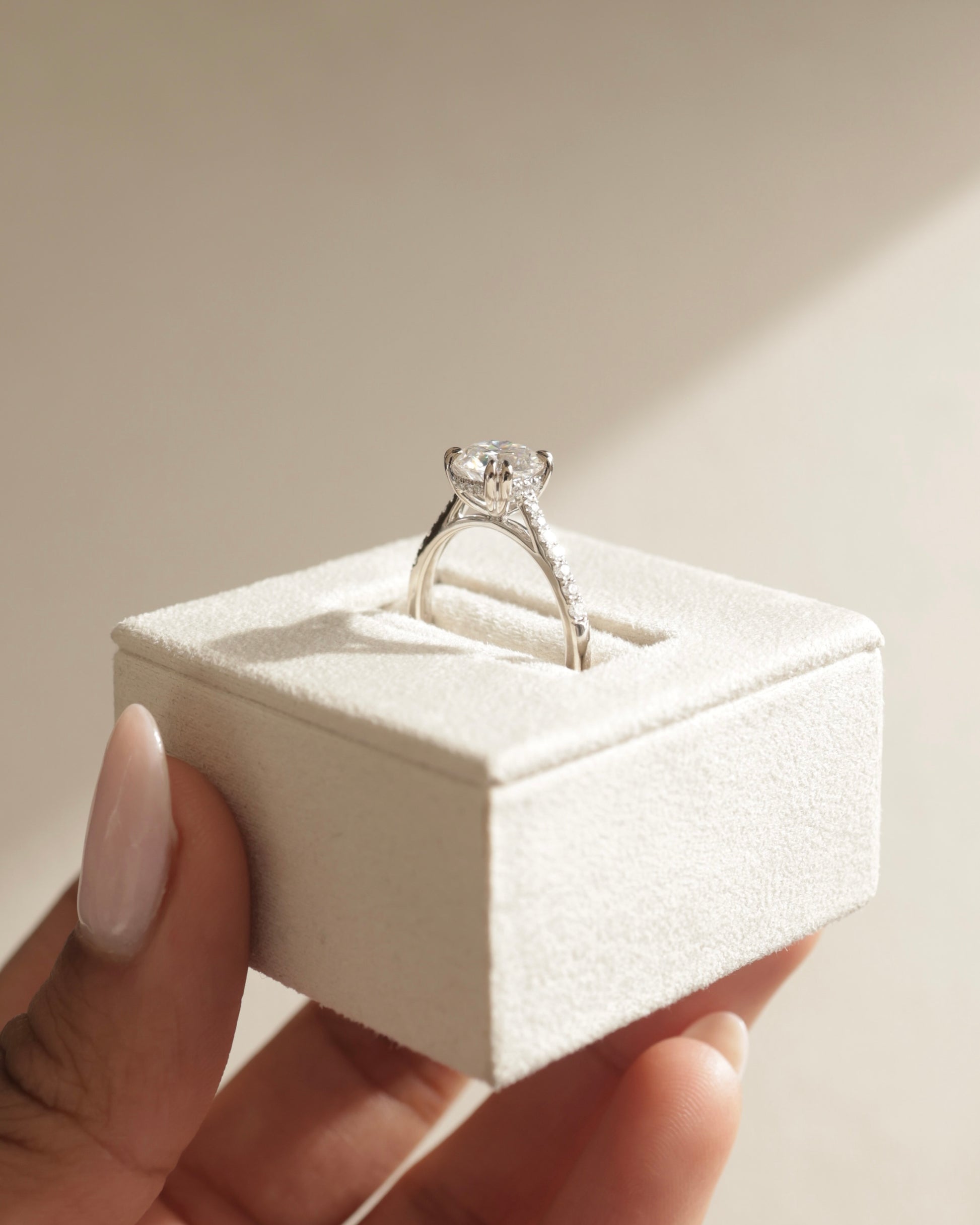 Amelia - Round Double Claw Solitaire with Hidden Halo, Tapered Pave Band and Cathedral High Setting Engagement Ring - Rose Two-Tone - Lifestyle