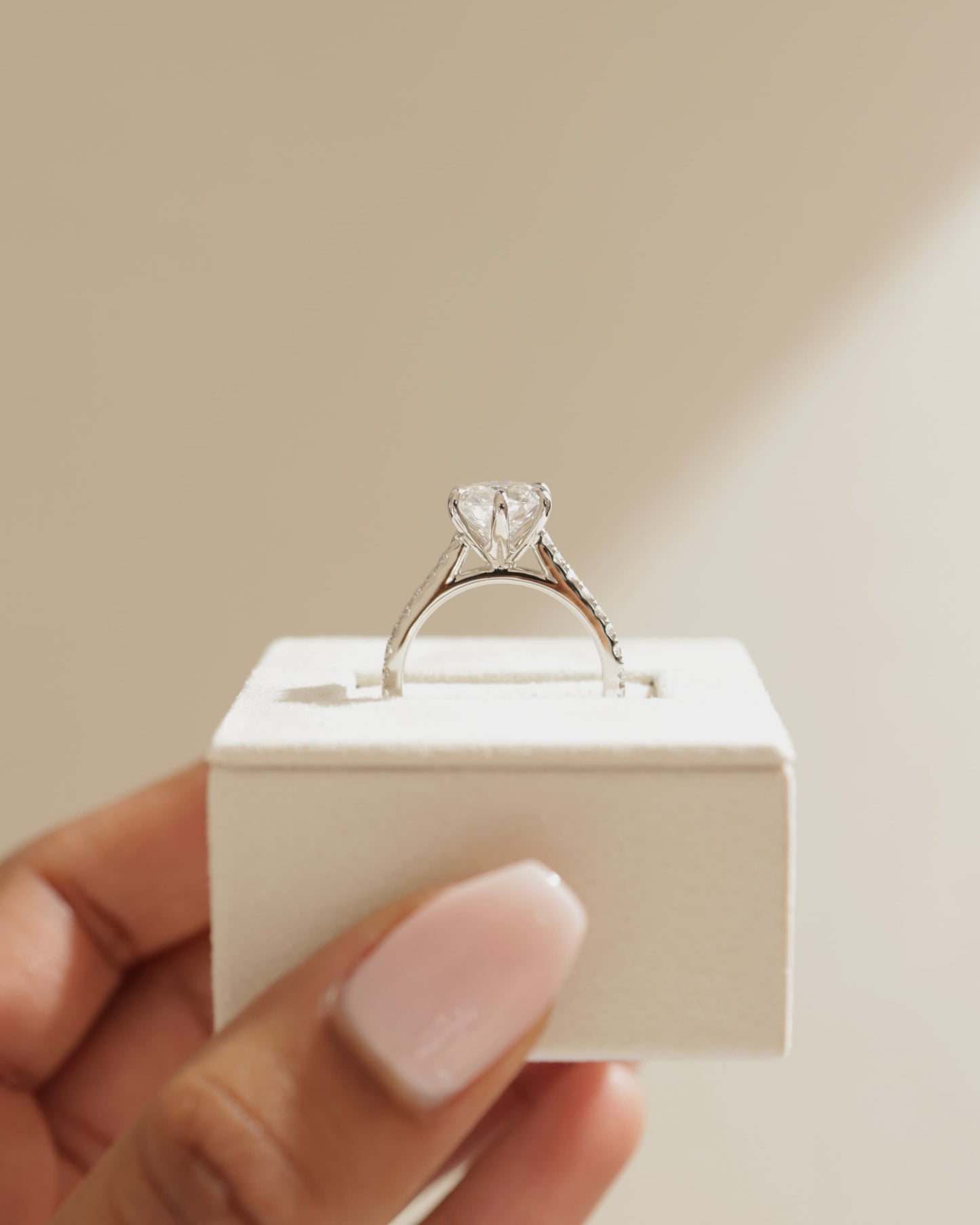 Maisy - Round Claw Solitaire with Pave Band and Cathedral High Setting Engagement Ring - Platinum