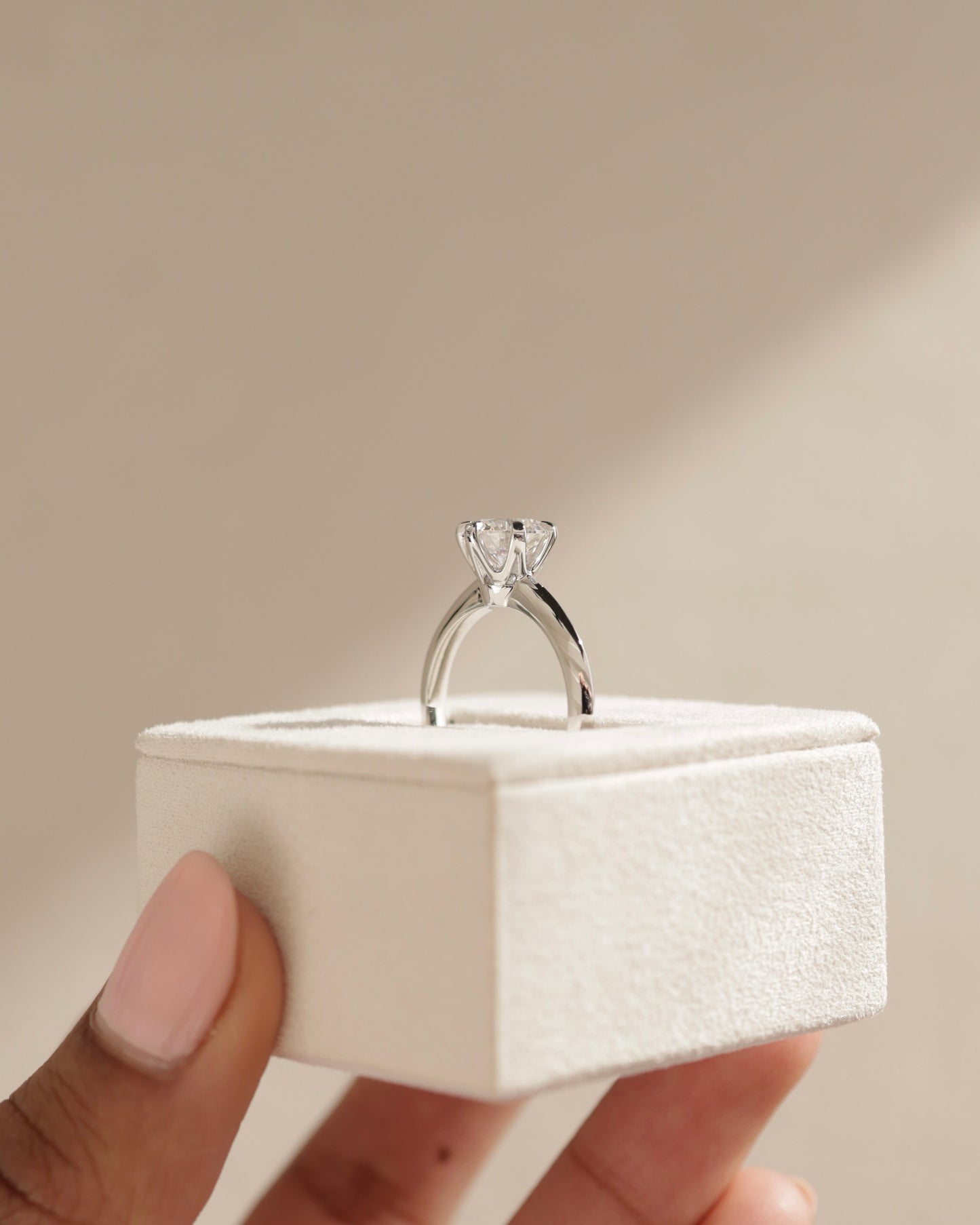 Caroline - Round Claw Solitaire with Knife Edge Band Engagement Ring - Rose Two-Tone - Lifestyle