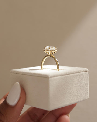 Phoebe - Oval Claw Solitaire with Halo Engagement Ring - White Gold