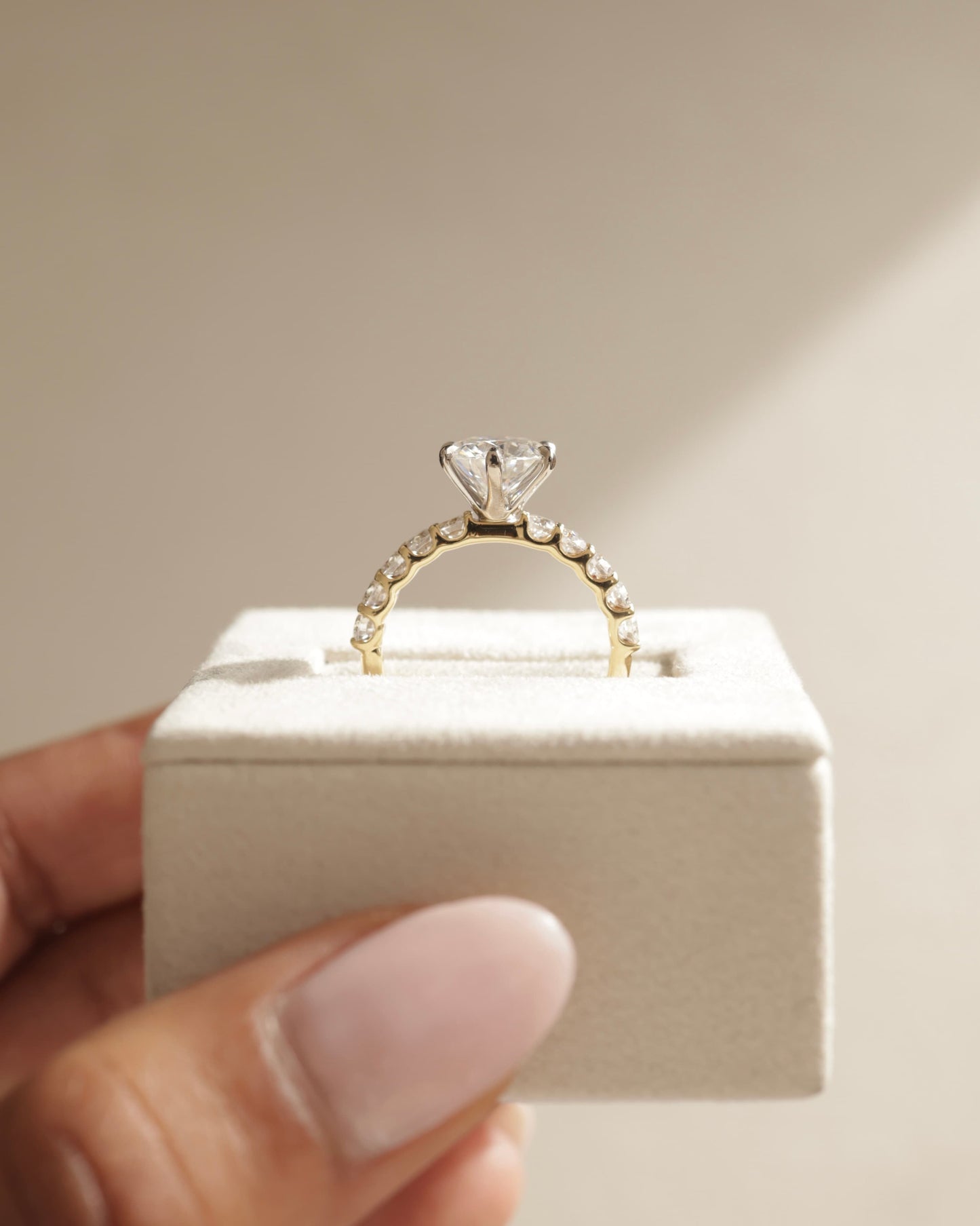 Quinn - Round Claw Solitaire with Half Eternity Band Engagement Ring - Platinum