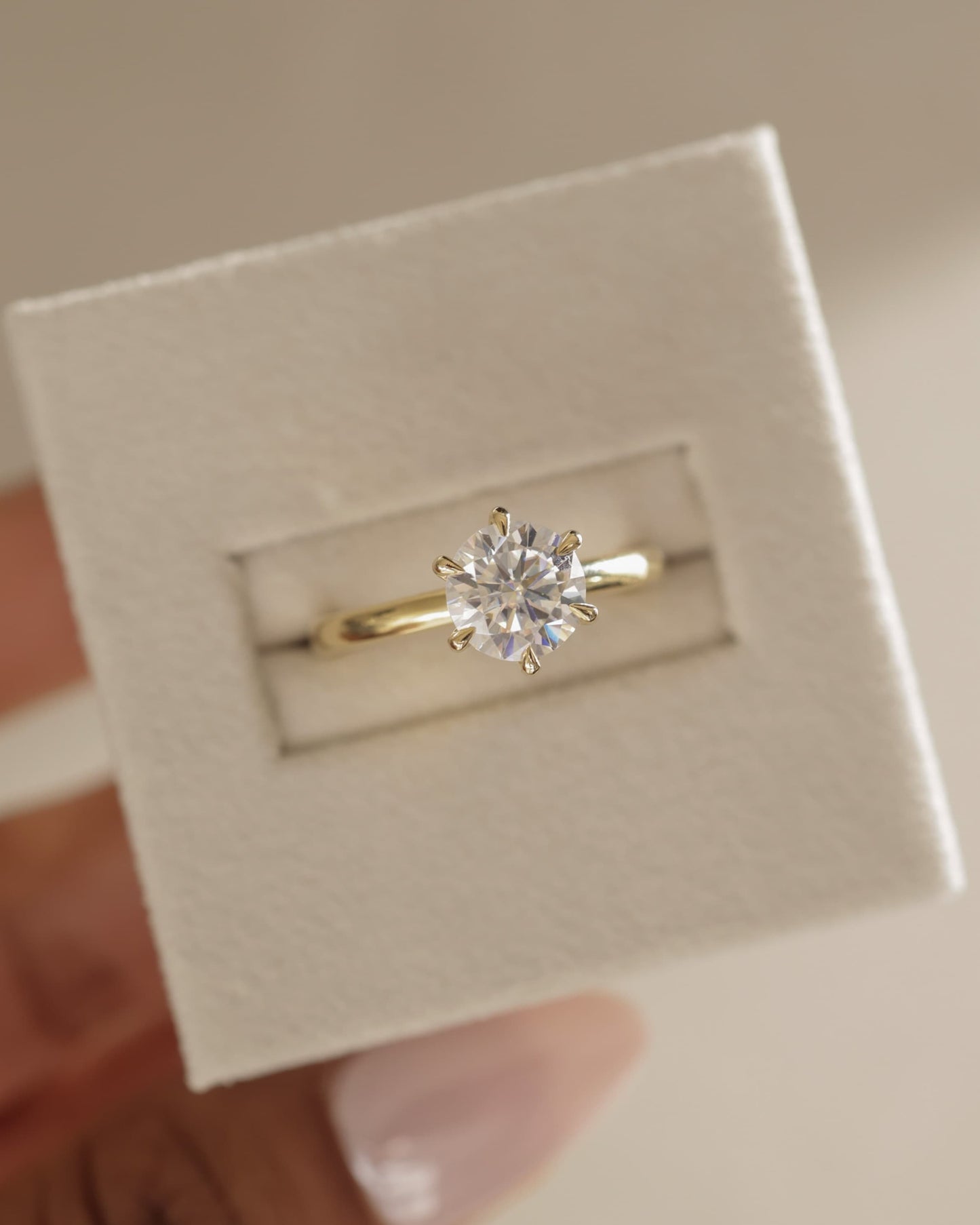 Daniela - Round Claw Solitaire with Solid Cathedral High Setting Engagement Ring - Yellow Gold