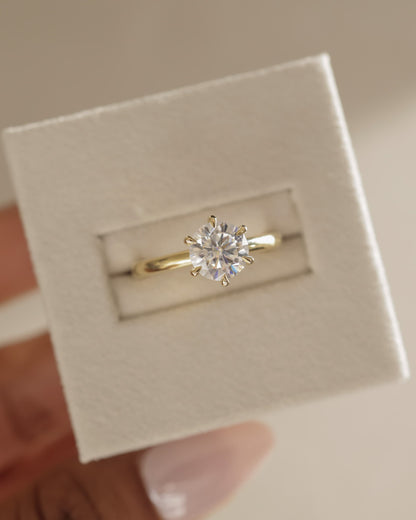 Daniela - Round Claw Solitaire with Solid Cathedral High Setting Engagement Ring - Yellow Gold