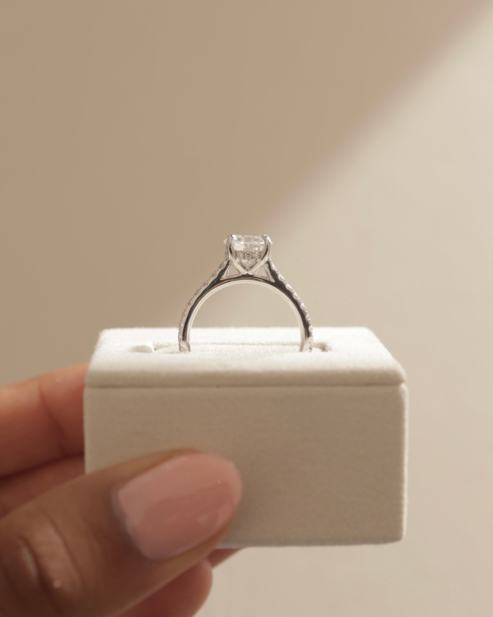 Ashlea - Round Claw Solitaire with Hidden Halo, Pave Band and Cathedral High Setting Engagement Ring - Rose Two-Tone - Lifestyle