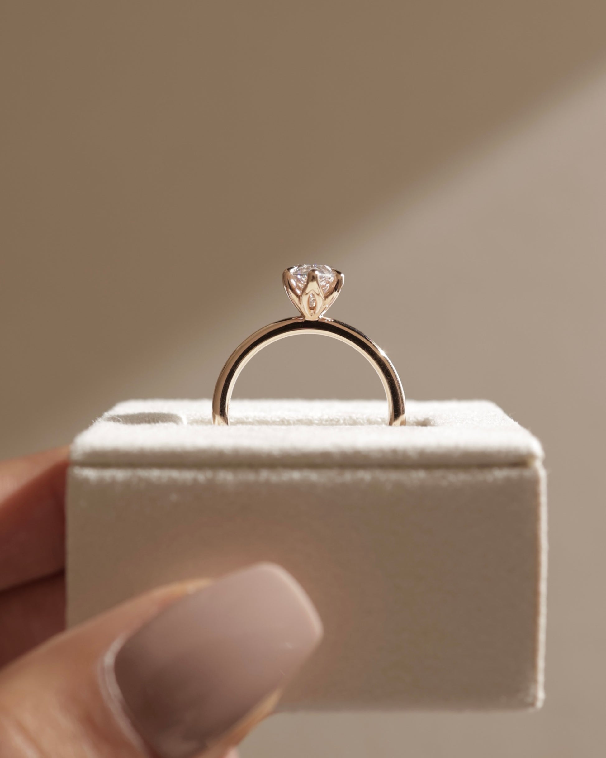 Eve - Marquise Claw Solitaire with Petal Gallery Engagement Ring - Rose Two-Tone - Lifestyle