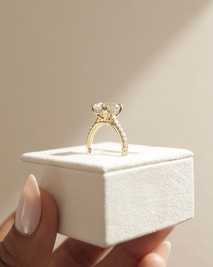 Sasha - Oval Double Claw Solitaire with Hidden Halo, Pave Band and Cathedral High Setting Engagement Ring - Yellow Two-Tone