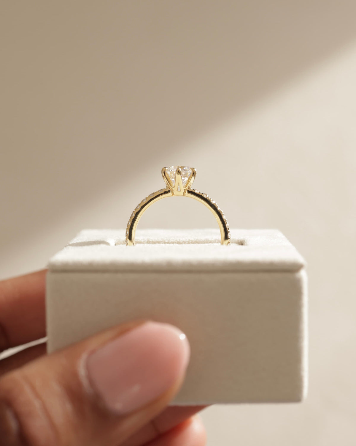 Naomi - Round Claw Solitaire with Crown Gallery and Pave Band Engagement Ring - Platinum