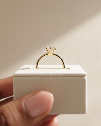 Naomi - Round Claw Solitaire with Crown Gallery and Pave Band Engagement Ring - White Gold
