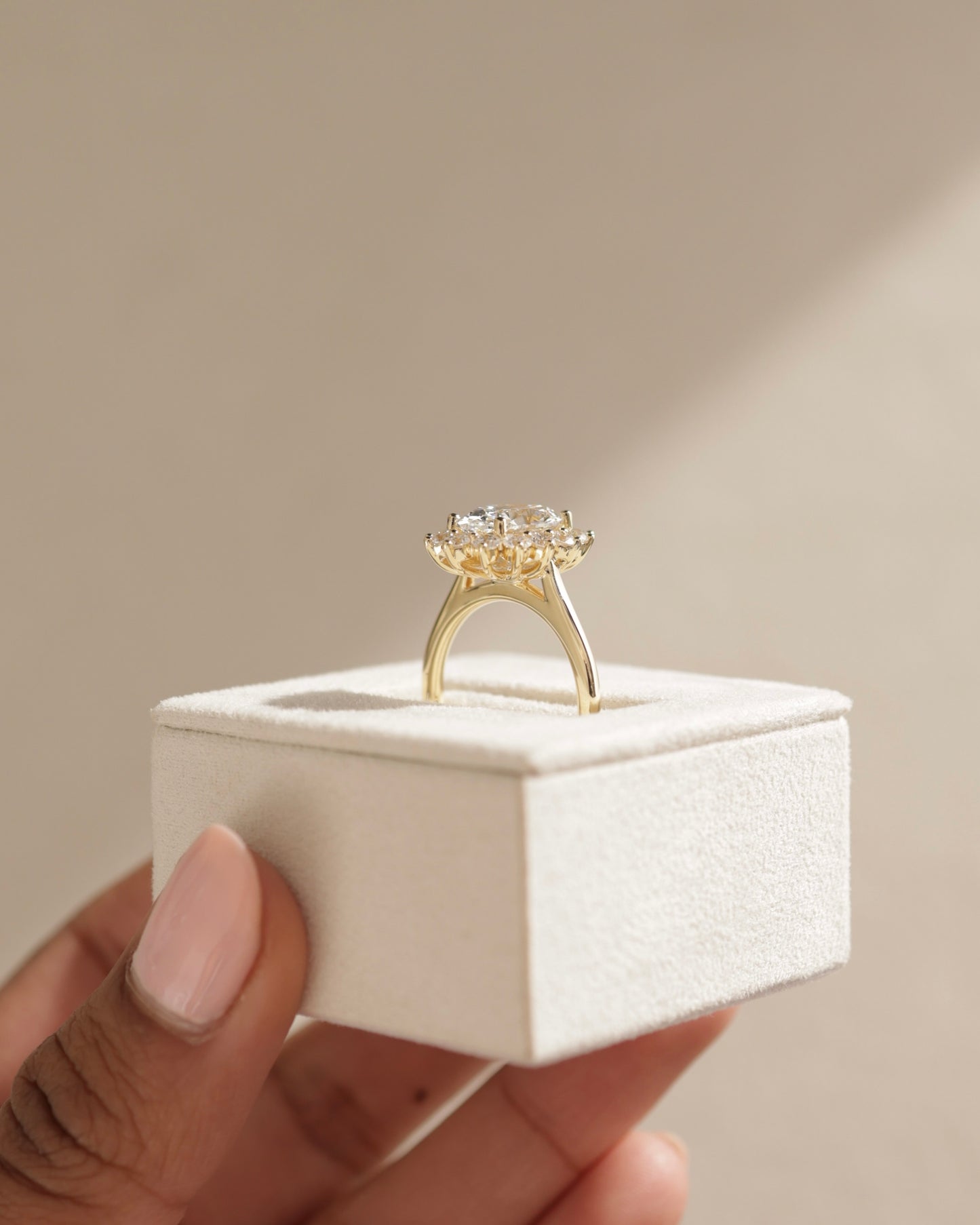 Arielle - Oval Claw Solitaire with Sunburst Halo and Cathedral High Setting Engagement Ring - Rose Two-Tone - Lifestyle