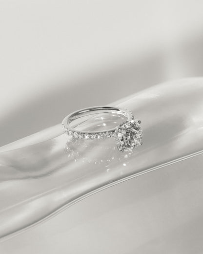 Charlie - Round Claw Solitaire with Hidden Halo and Pave Band Engagement Ring - Yellow Gold