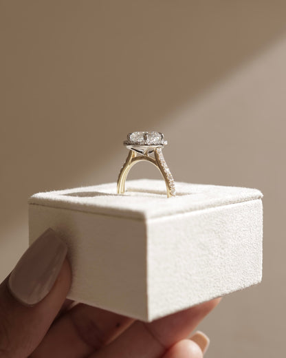 Nicole - Cushion Claw Solitaire with Halo and Pave Band and Cathedral High Setting Engagement Ring - Yellow Gold