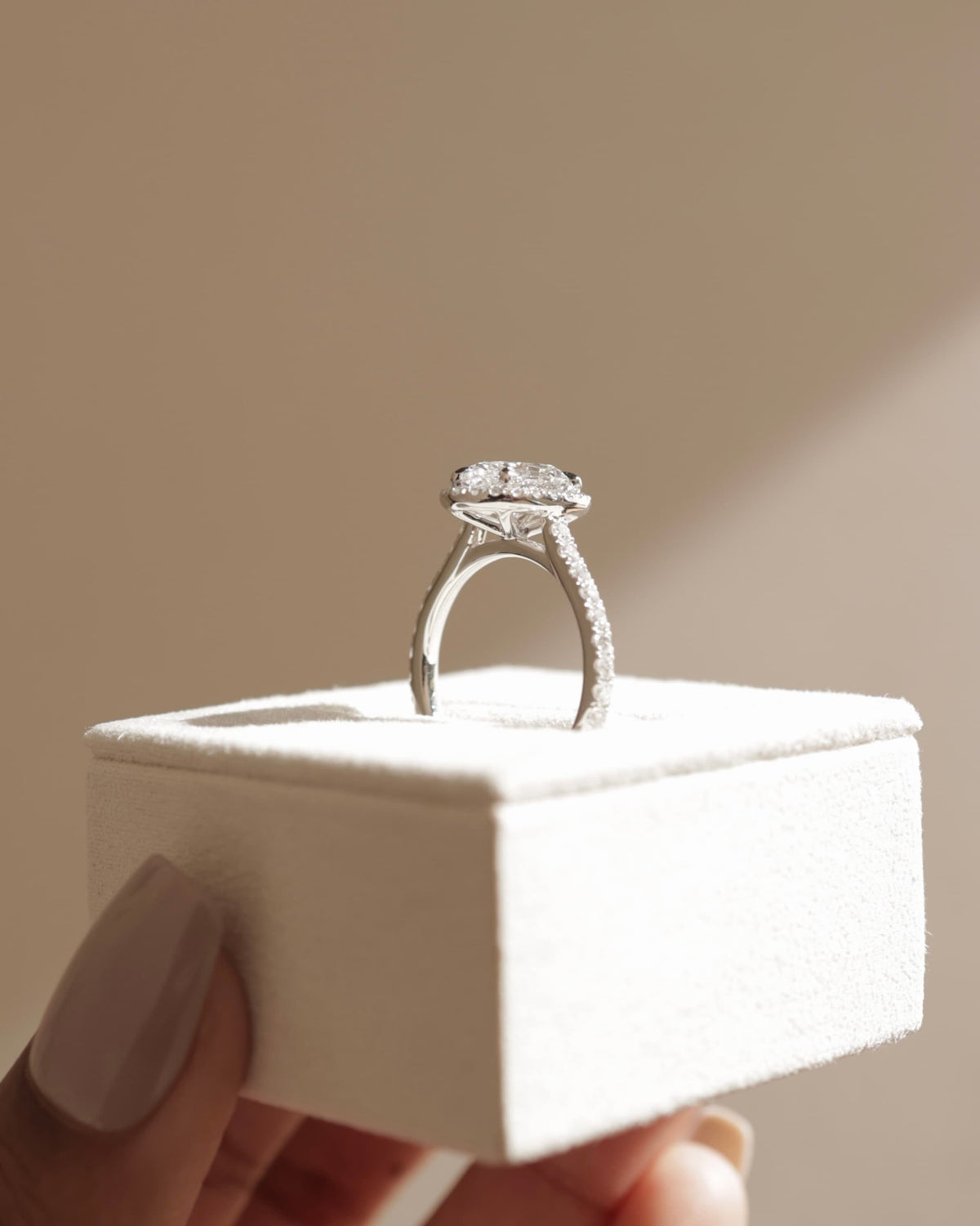 Sally - Oval Claw Solitaire with Halo and Pave Band and Cathedral High Setting Engagement Ring - Rose Gold