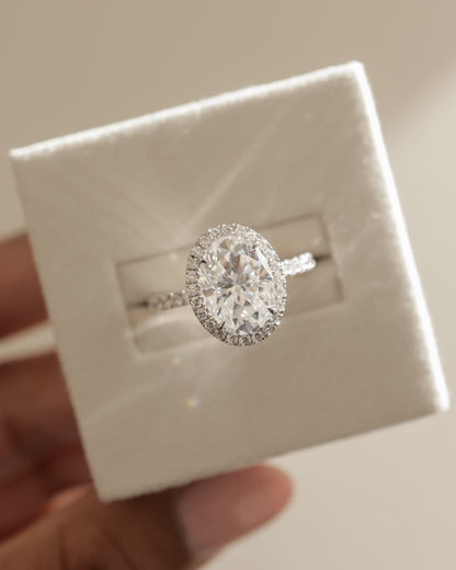 Aurora - Oval Claw Solitaire with Halo and Pave Band Engagement Ring - Platinum