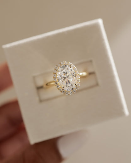 Phoebe - Oval Claw Solitaire with Halo Engagement Ring - Yellow Two-Tone