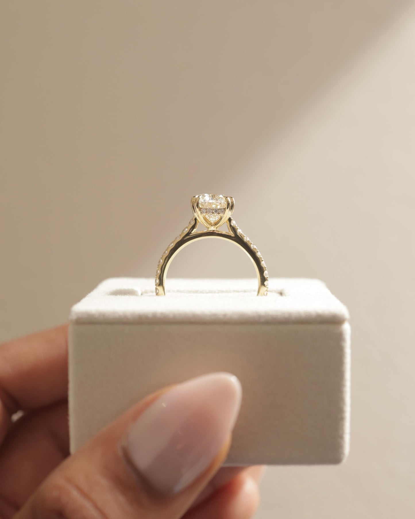 Sasha - Oval Double Claw Solitaire with Hidden Halo, Pave Band and Cathedral High Setting Engagement Ring - White Gold