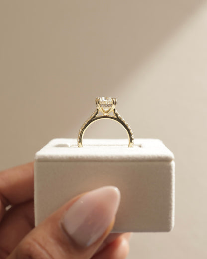 Sasha - Oval Double Claw Solitaire with Hidden Halo, Pave Band and Cathedral High Setting Engagement Ring - White Gold