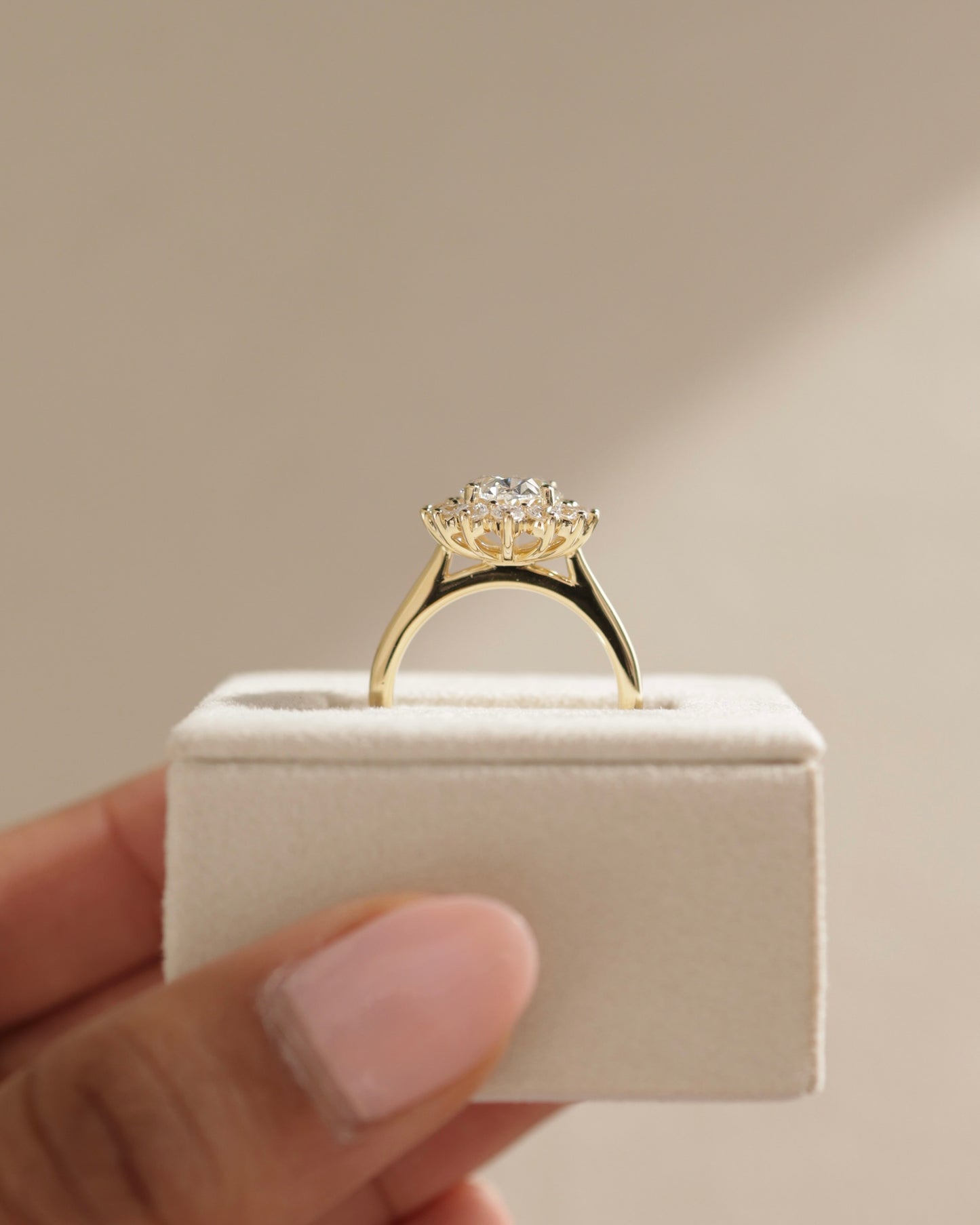 Arielle - Oval Claw Solitaire with Sunburst Halo and Cathedral High Setting Engagement Ring - Rose Two-Tone - Lifestyle