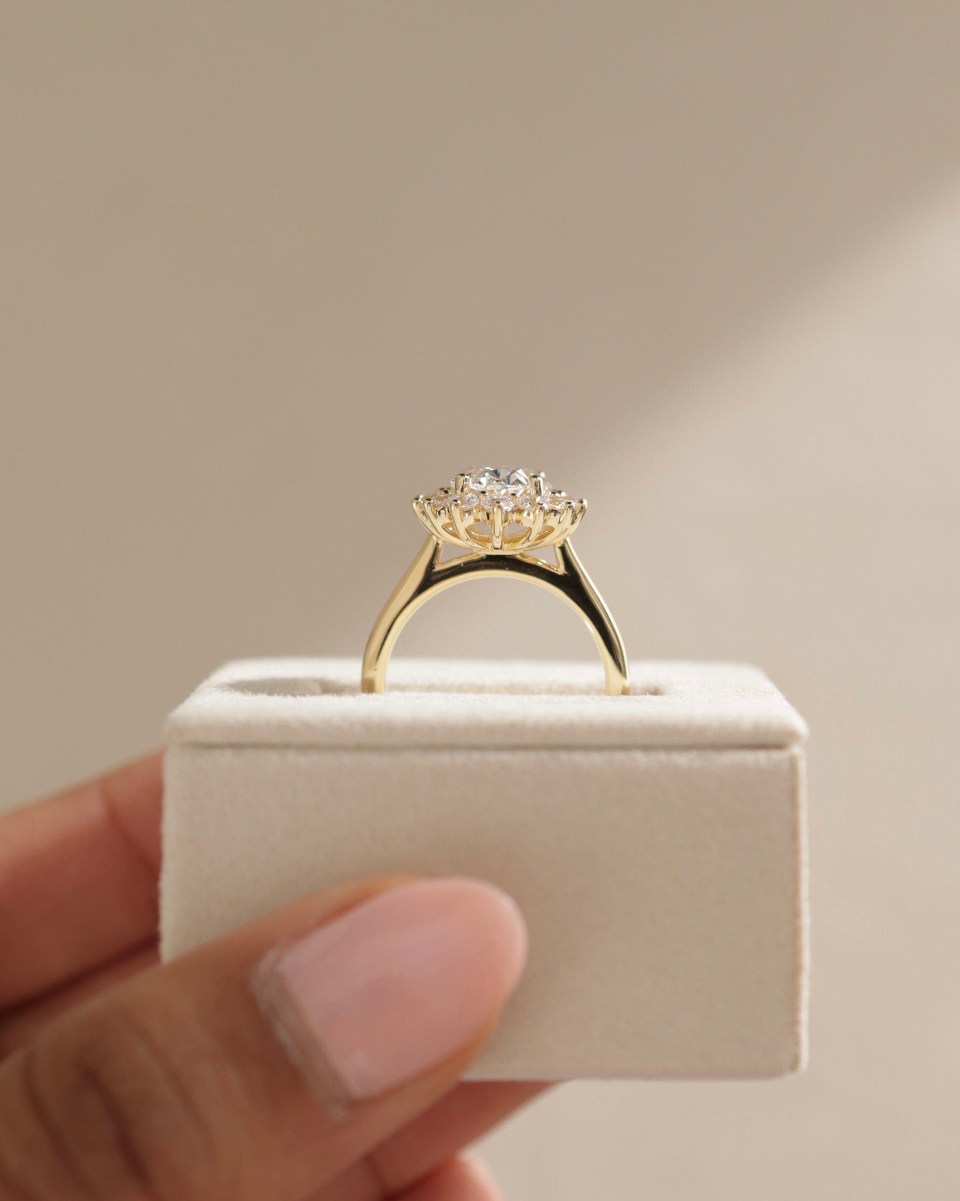 Arielle - Oval Claw Solitaire with Sunburst Halo and Cathedral High Setting Engagement Ring - Rose Two-Tone - Lifestyle