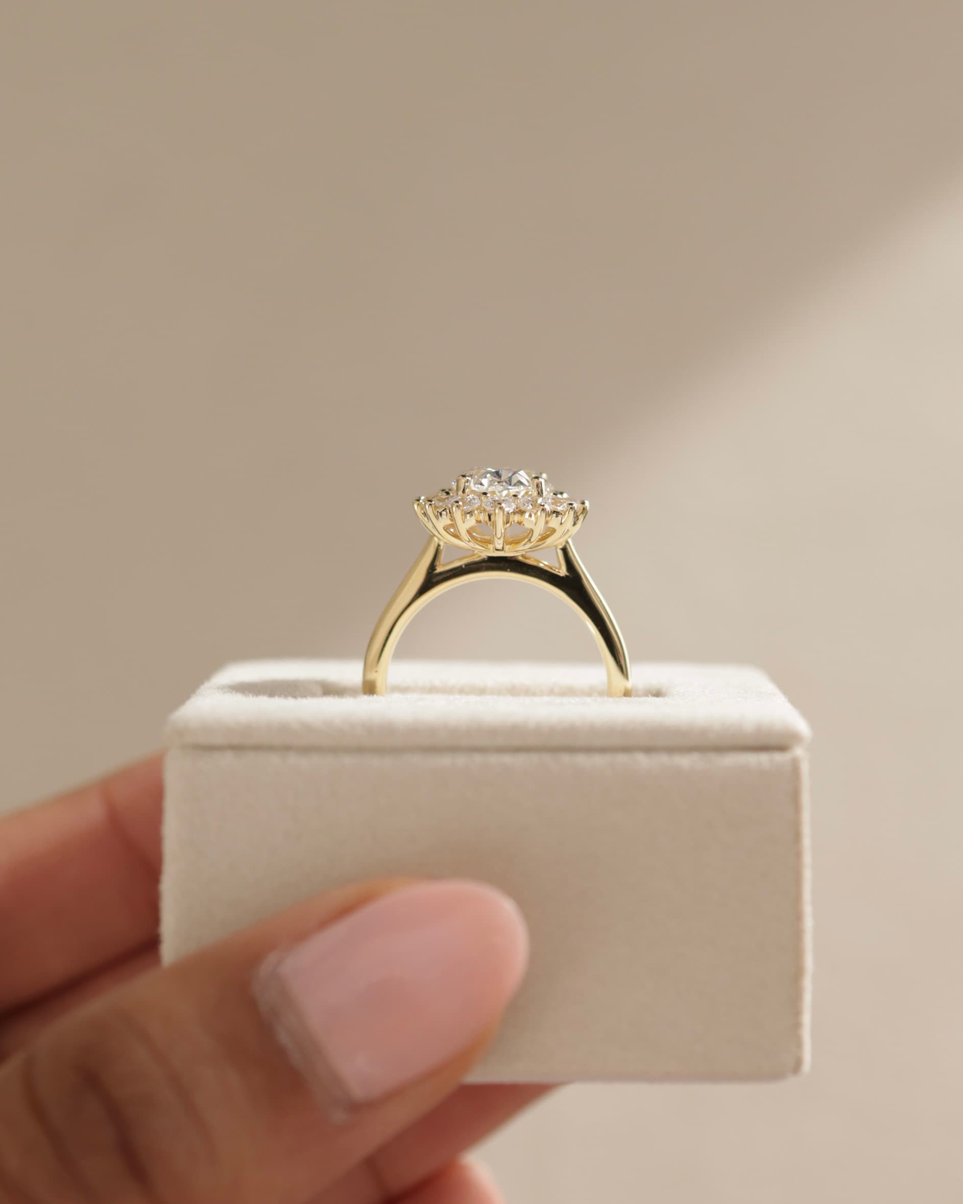 Arielle - Oval Claw Solitaire with Sunburst Halo and Cathedral High Setting Engagement Ring - Rose Two-Tone - rose two-tone - Lara Jewels