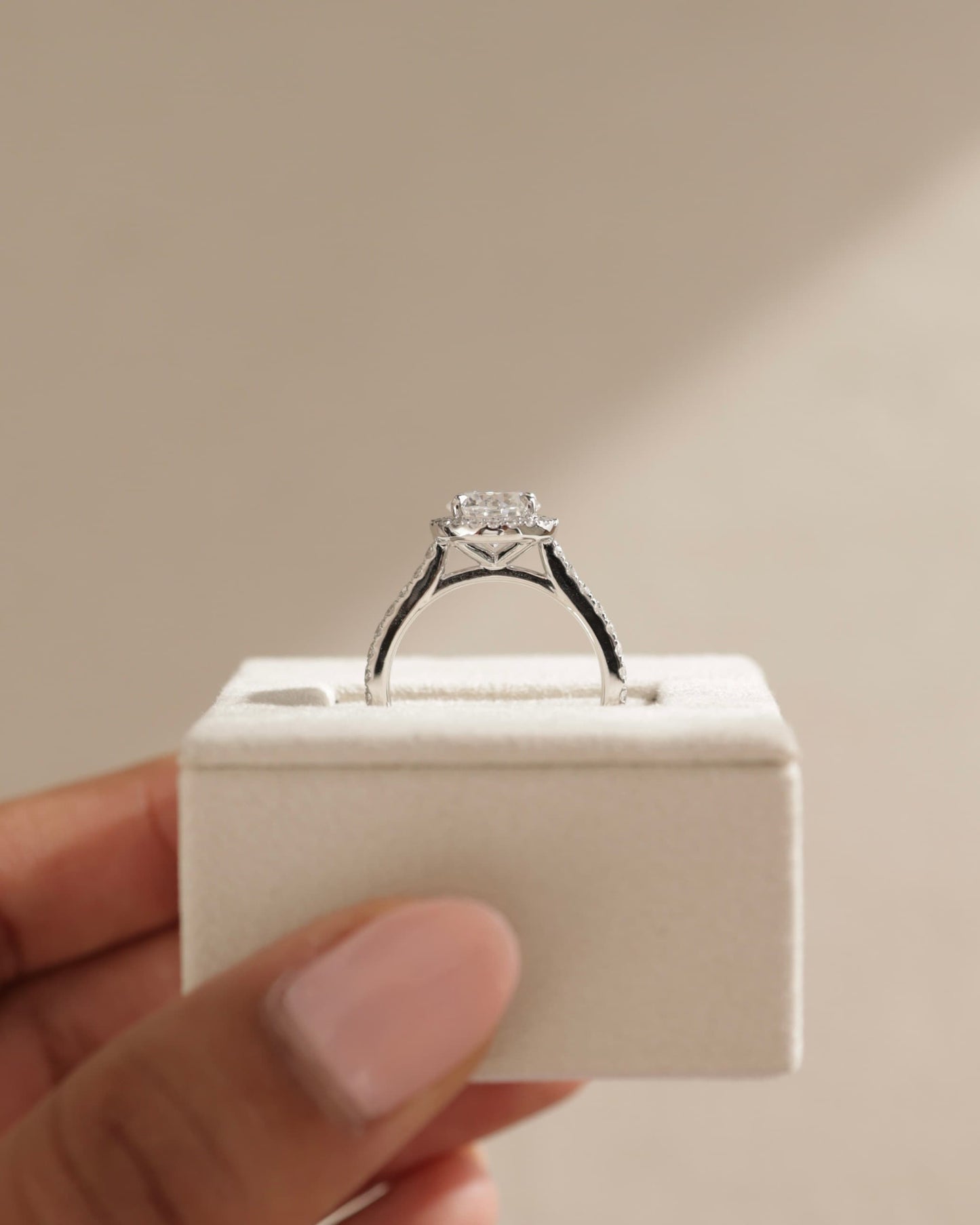 Leah - Round Claw Solitaire with Halo and Pave Band and Cathedral High Setting Engagement Ring - White Gold