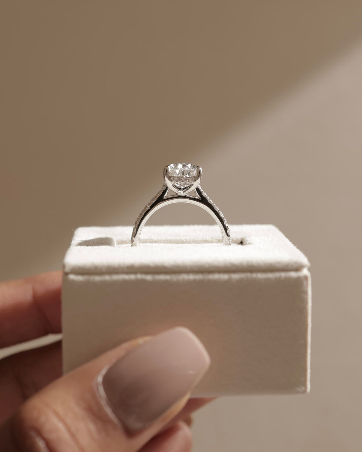 Katrina - Pear Claw Solitaire with Hidden Halo, Pave Band and Cathedral High Setting Engagement Ring - Platinum