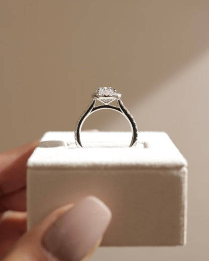 Sally - Oval Claw Solitaire with Halo and Pave Band and Cathedral High Setting Engagement Ring - Yellow Two-Tone