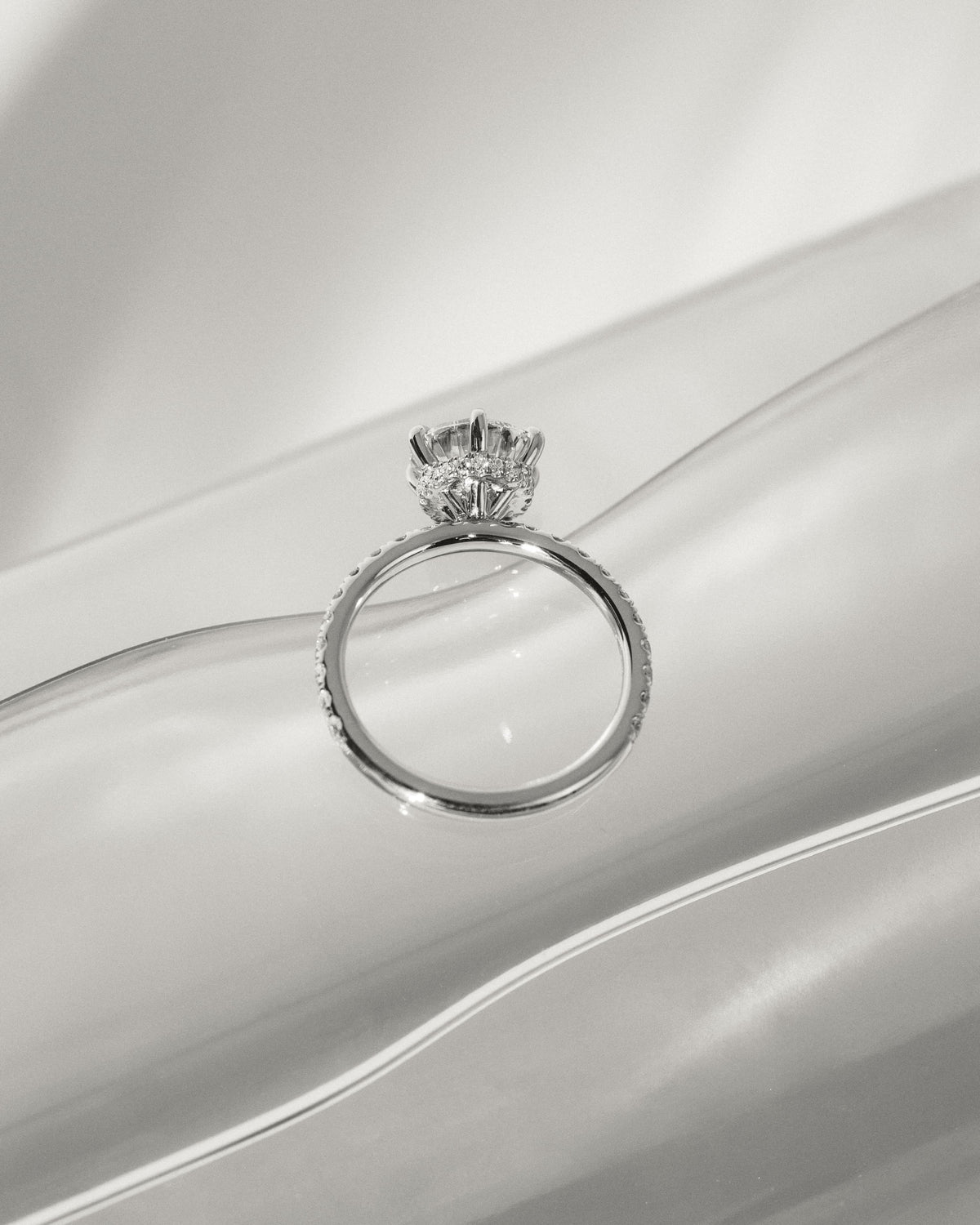 Amanda - Round Claw Solitaire with Wrap Around Hidden Halo and Pave Band Engagement Ring - Yellow Gold - yellow gold - Lara Jewels