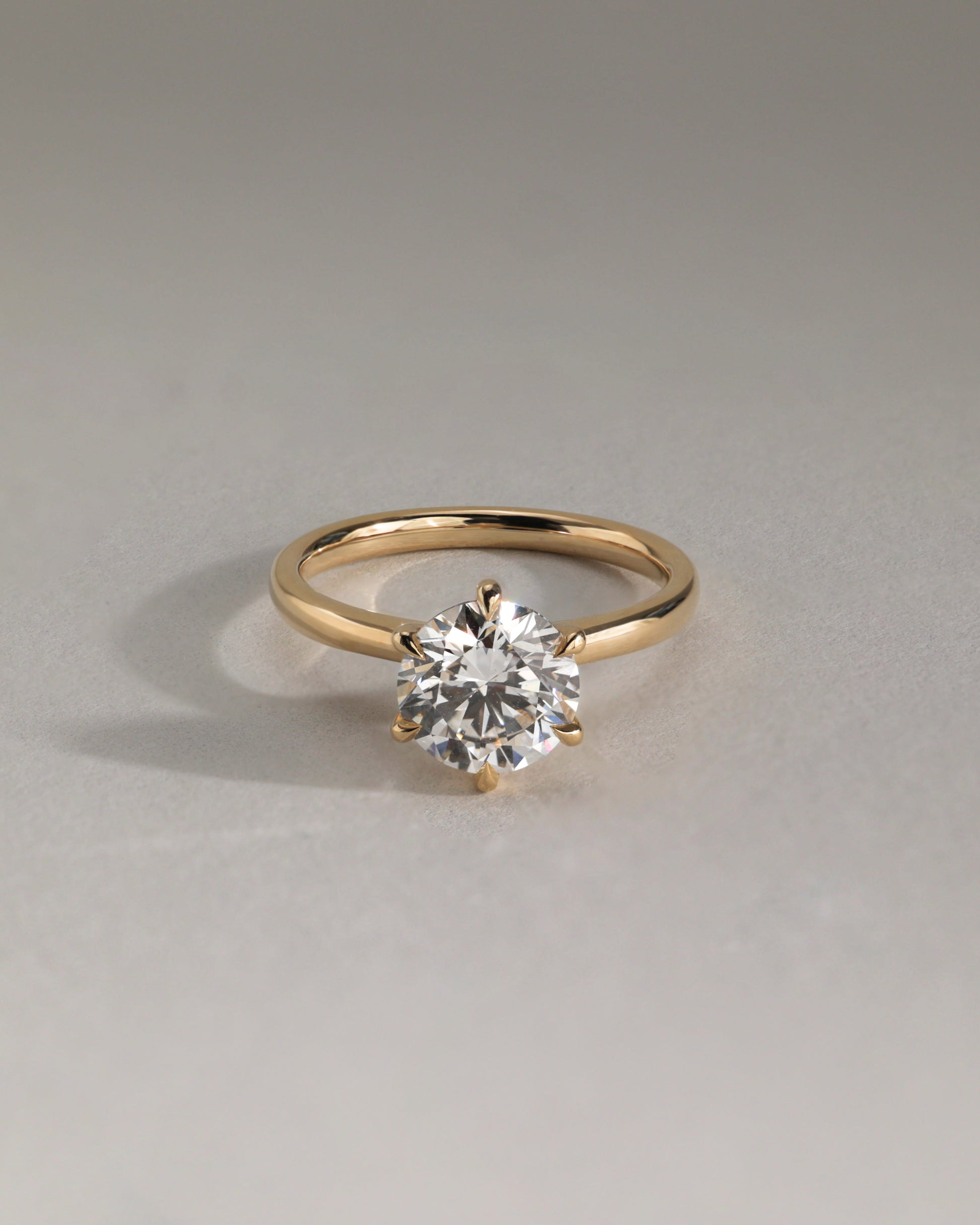 Daniela - Round Claw Solitaire with Solid Cathedral High Setting Engagement Ring - Rose Two-Tone - Lifestyle