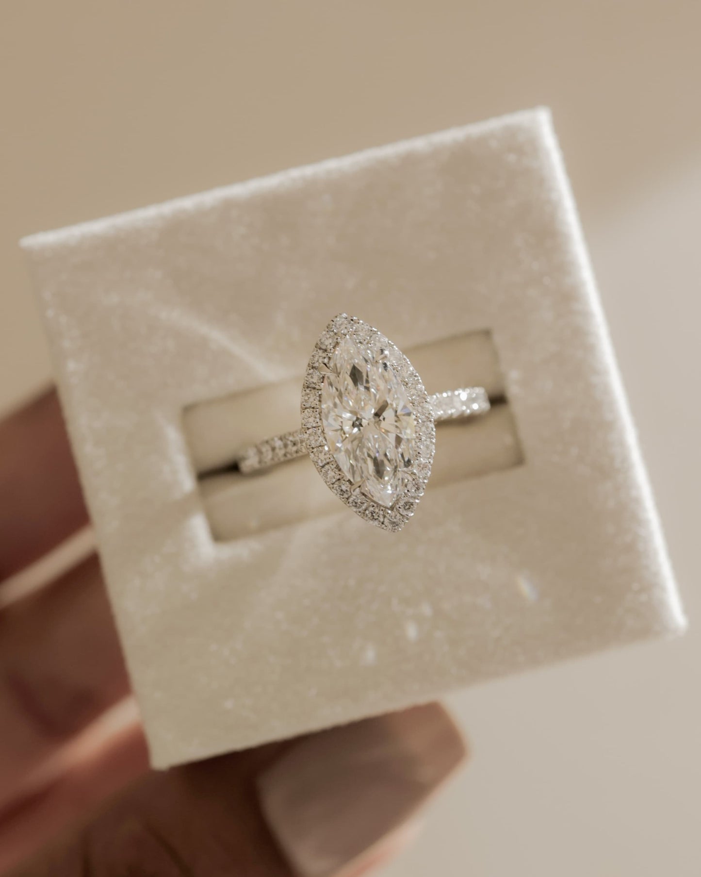 Stefania - Marquise Claw Solitaire with Halo and Pave Band and Cathedral High Setting Engagement Ring - Platinum