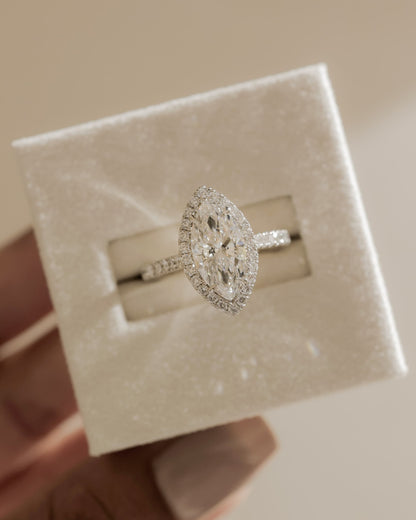 Stefania - Marquise Claw Solitaire with Halo and Pave Band and Cathedral High Setting Engagement Ring - Yellow Gold