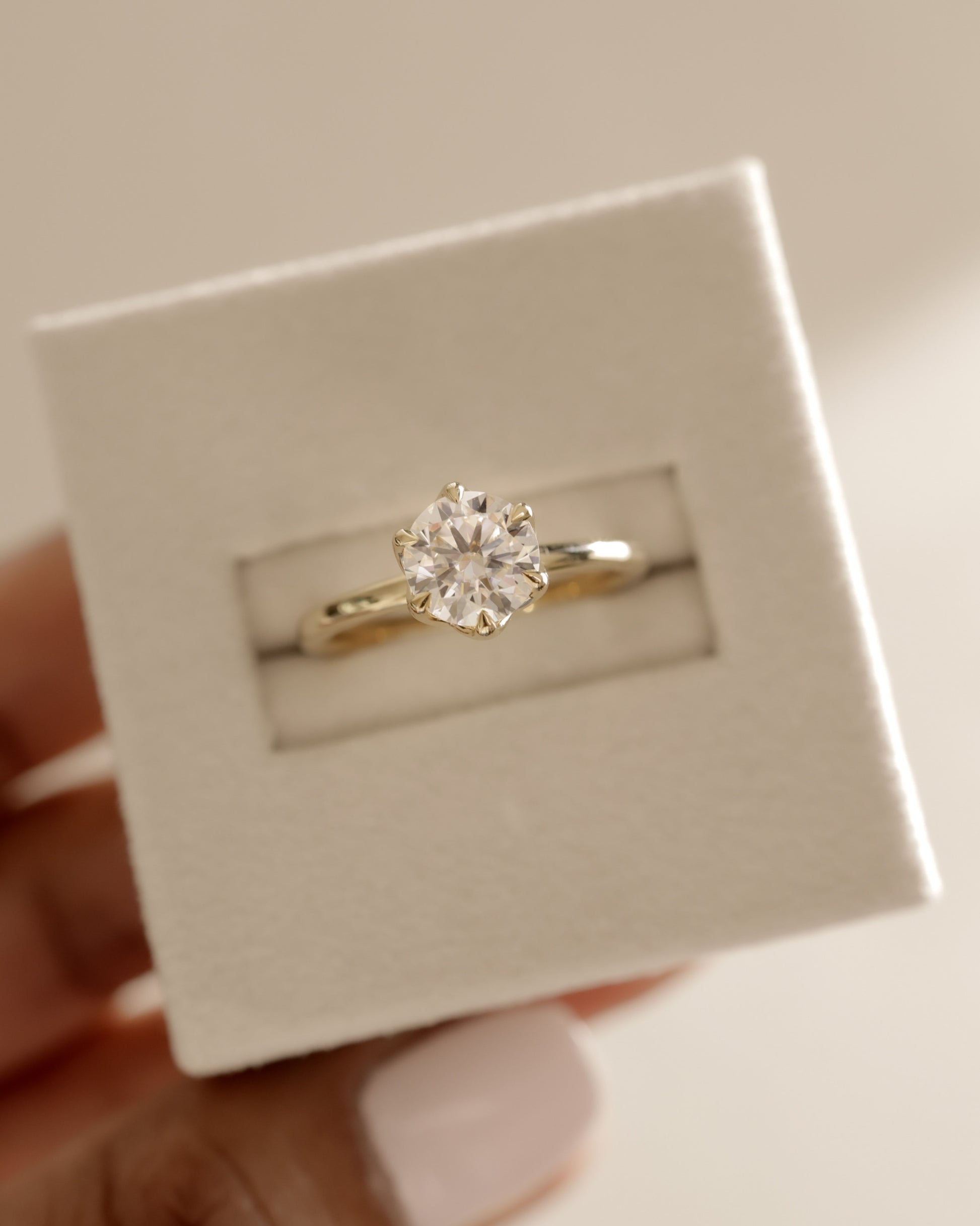 Iris - Round Claw Solitaire with Petal Gallery Engagement Ring - Rose Two-Tone - Lifestyle