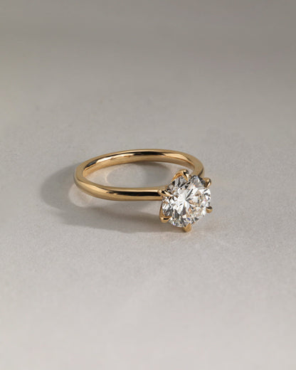 Daniela - Round Claw Solitaire with Solid Cathedral High Setting Engagement Ring - Yellow Gold