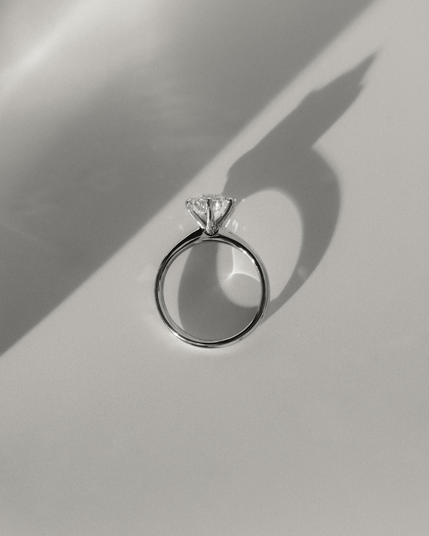 Daniela - Round Claw Solitaire with Solid Cathedral High Setting Engagement Ring - Rose Two-Tone - Lifestyle