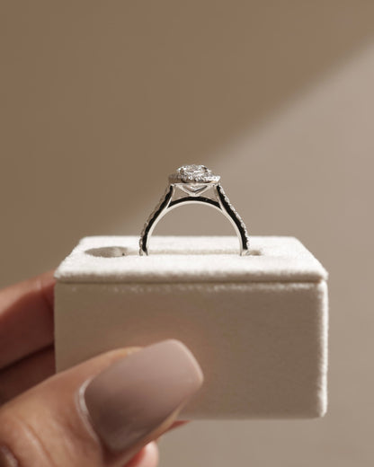 Stefania - Marquise Claw Solitaire with Halo and Pave Band and Cathedral High Setting Engagement Ring - Rose Gold