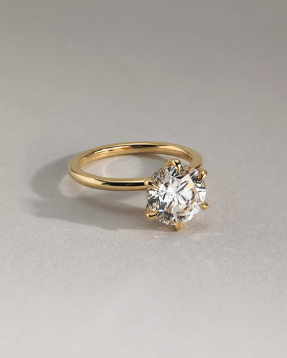 Anna - Round Claw Solitaire with Hidden Halo Engagement Ring - Platinum