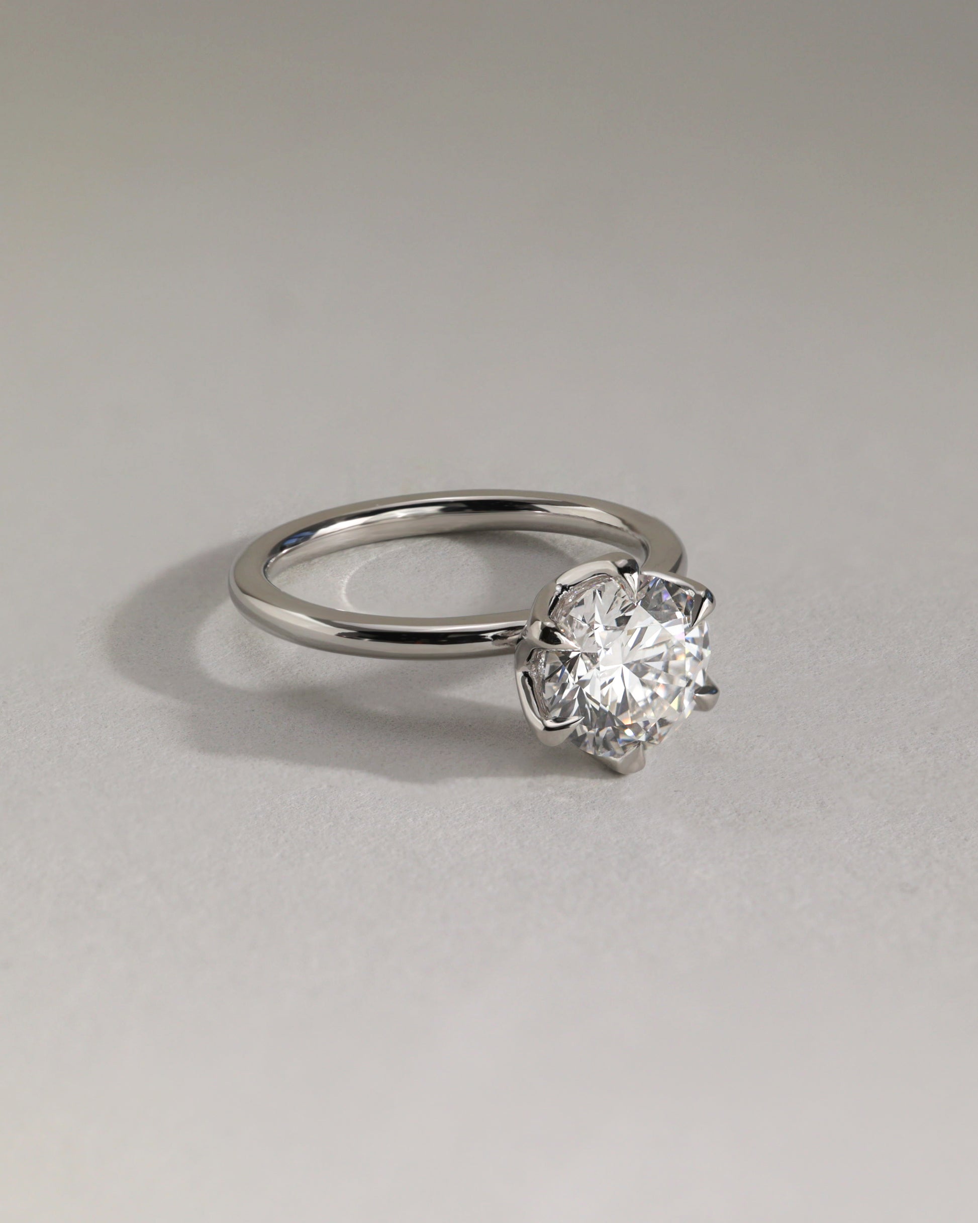 Iris - Round Claw Solitaire with Petal Gallery Engagement Ring - Rose Two-Tone - Lifestyle