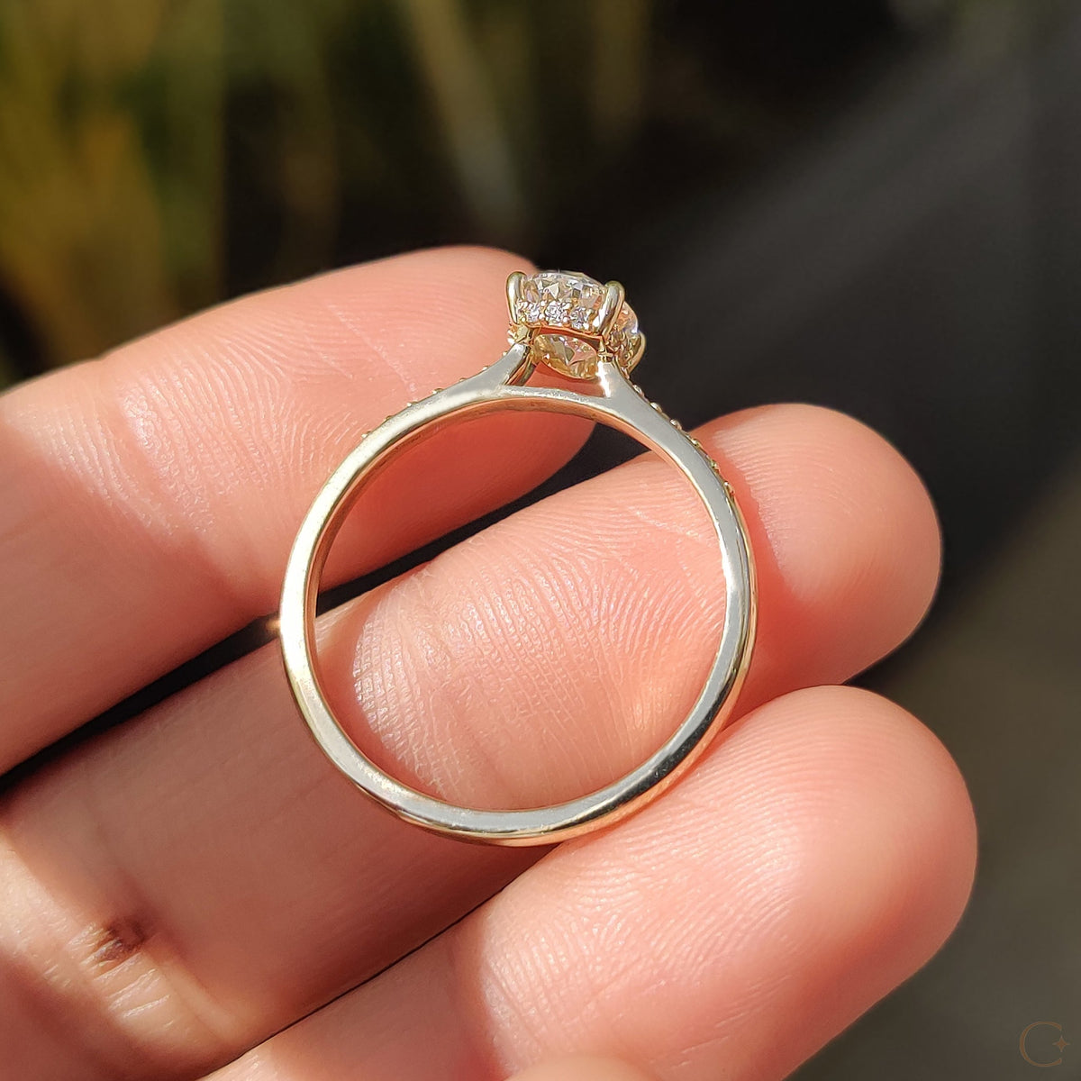 Oval Cut Diamond Ring In Pave Style