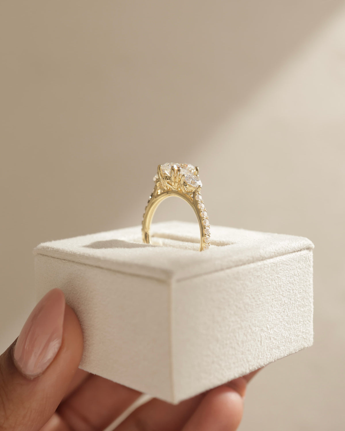 Meghan - Elongated Cushion Double Claw Trilogy with Round Side Stones, Pave Band and Cathedral Setting Engagement Ring - Platinum
